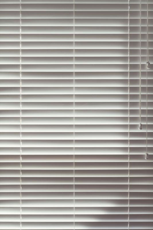 Custom Vertical Blind Designs